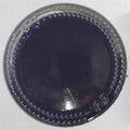 Translucent Resin Pigment 20 Gram