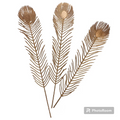 Peacock golden feathers