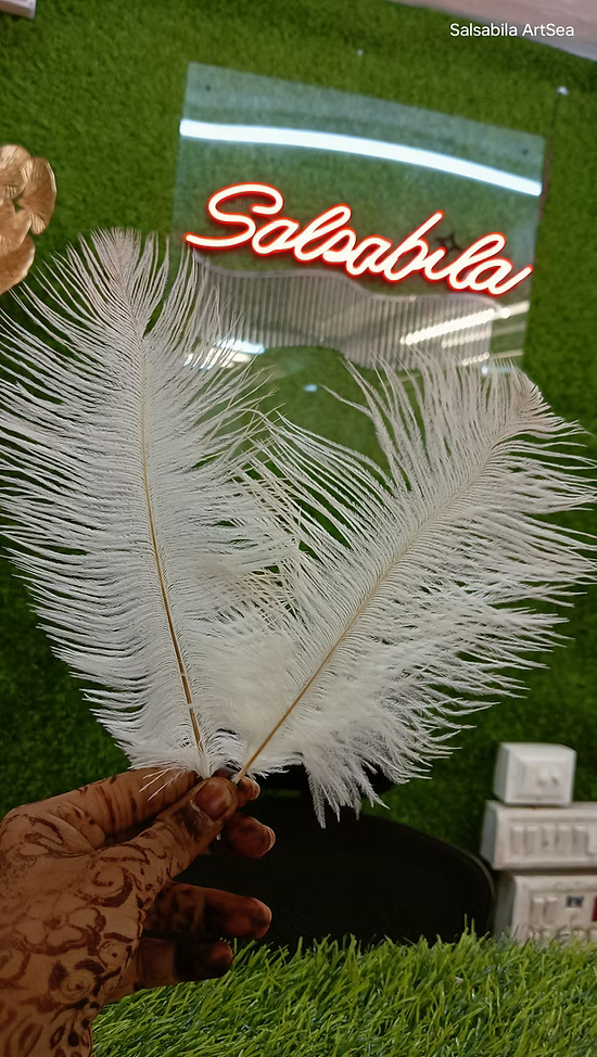 Feathers