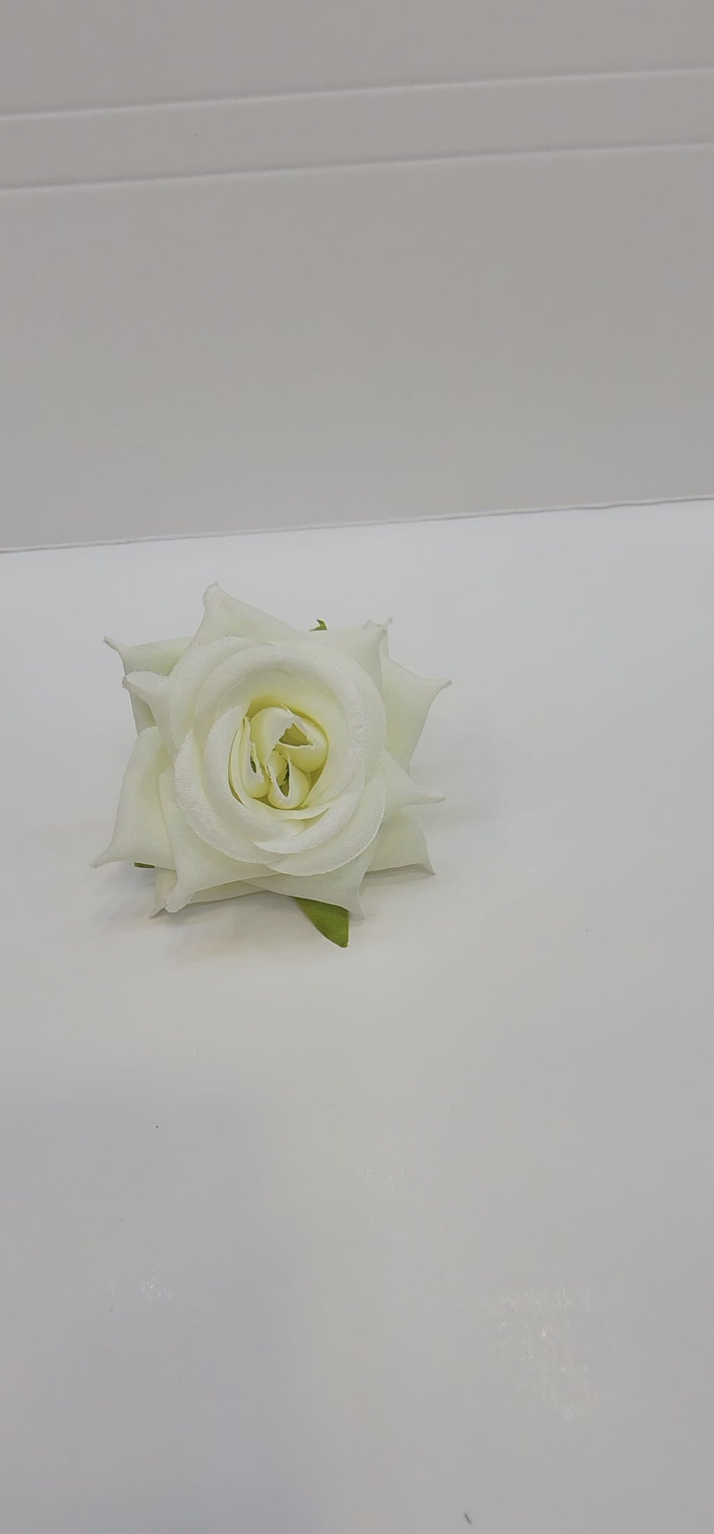 Rose Flower