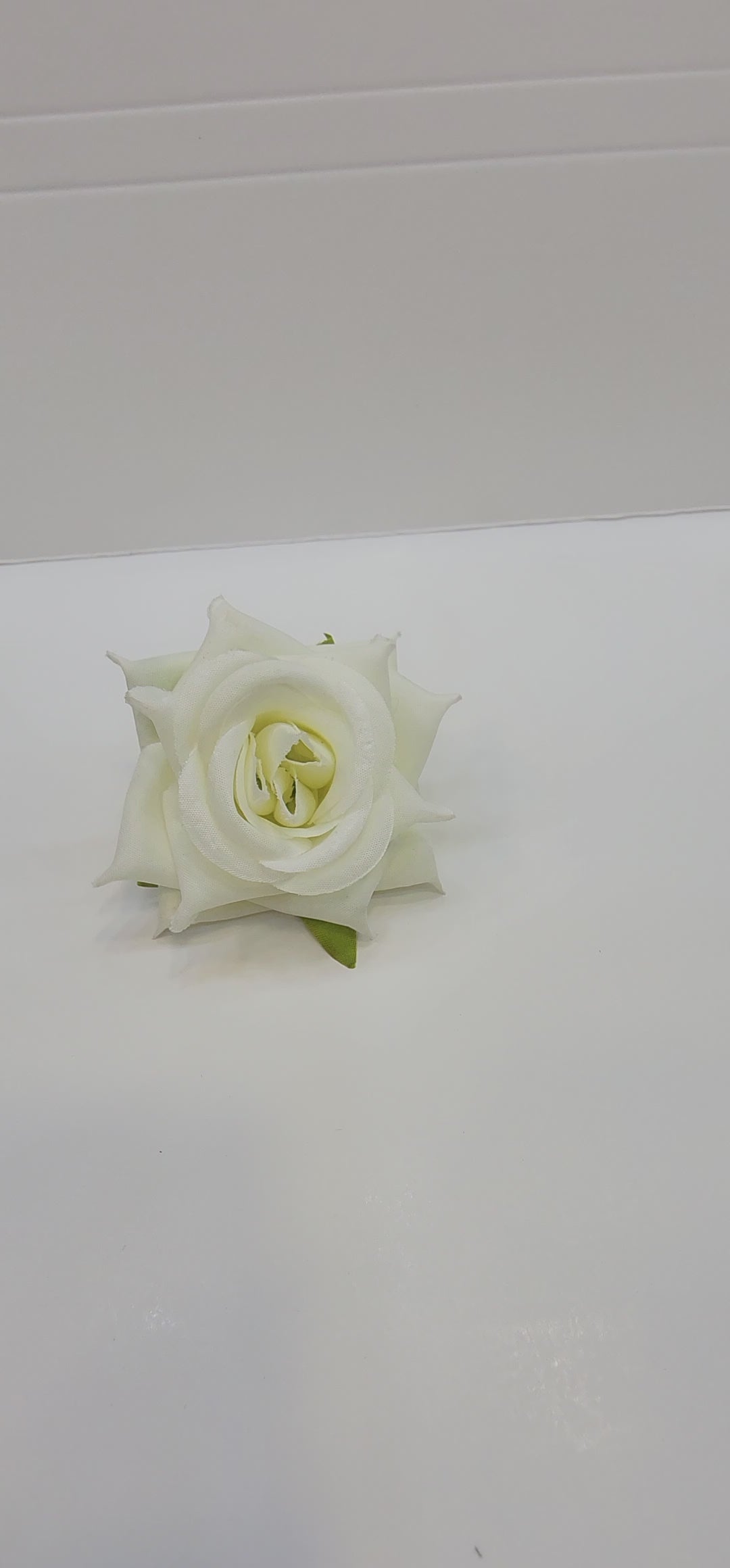 Rose Flower