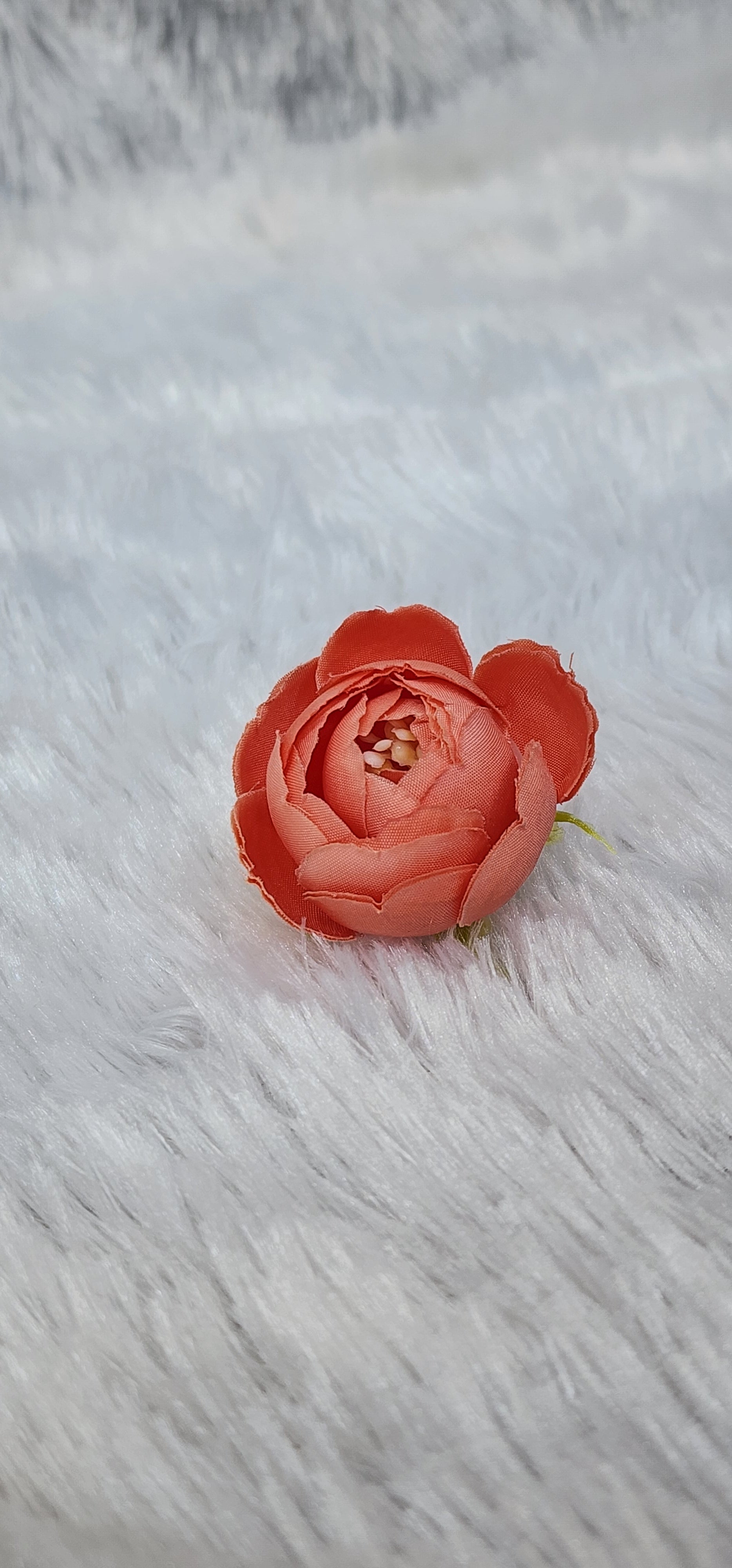 Loose pionies flowers
