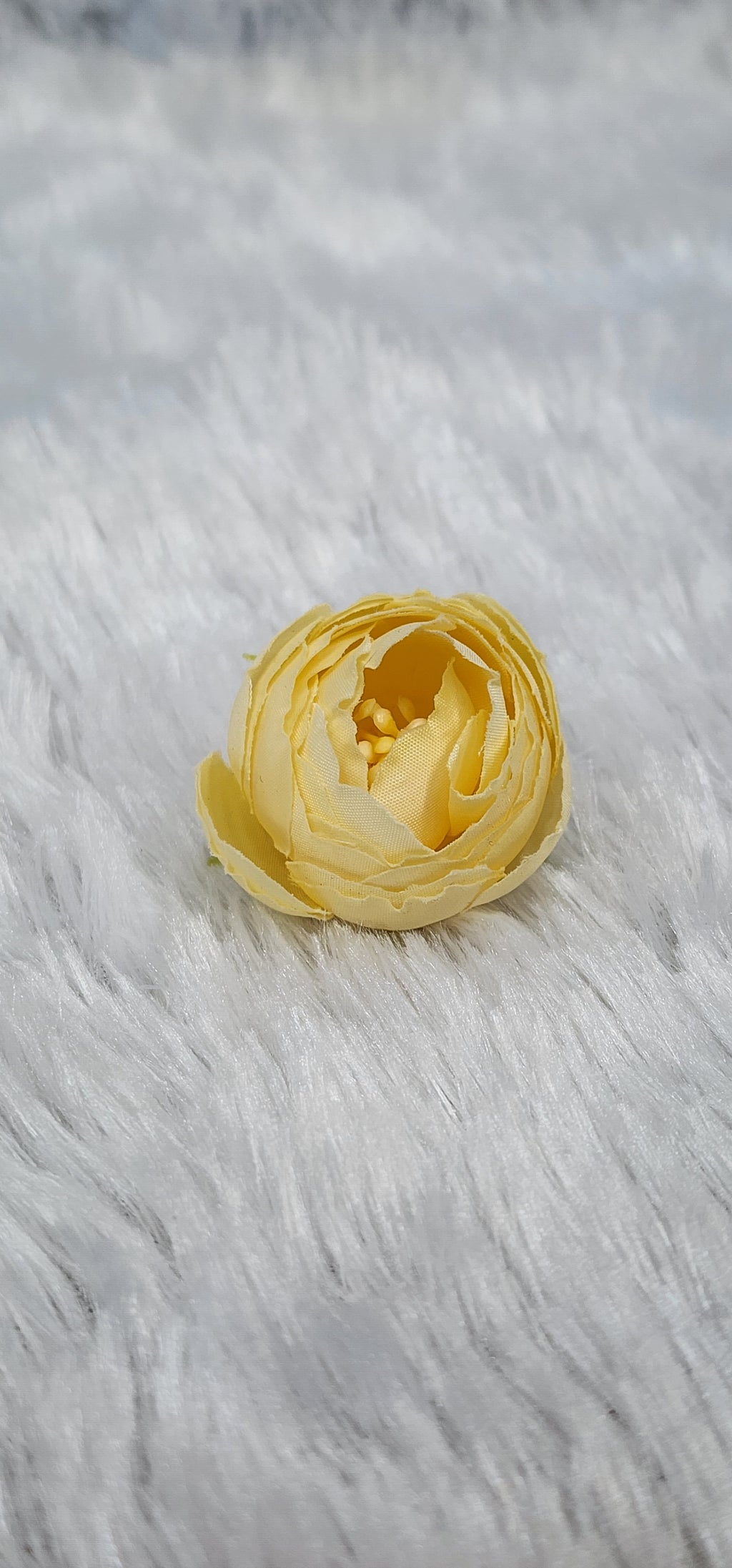 Loose pionies flowers