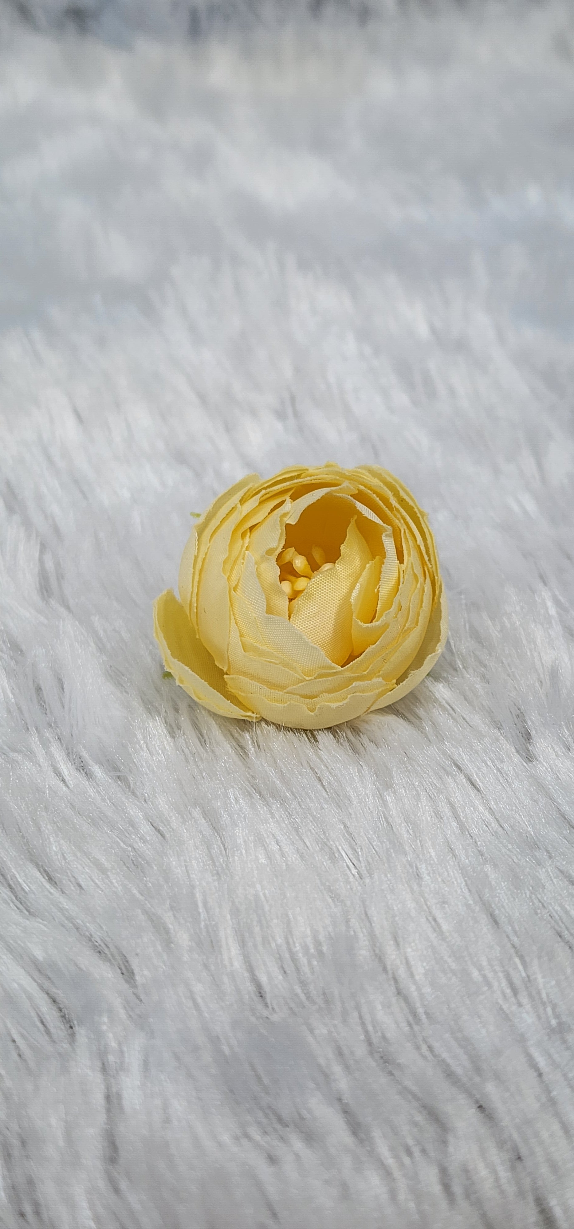 Loose pionies flowers