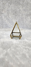 Desktop Terrarium and Air Plant Display glaas metal