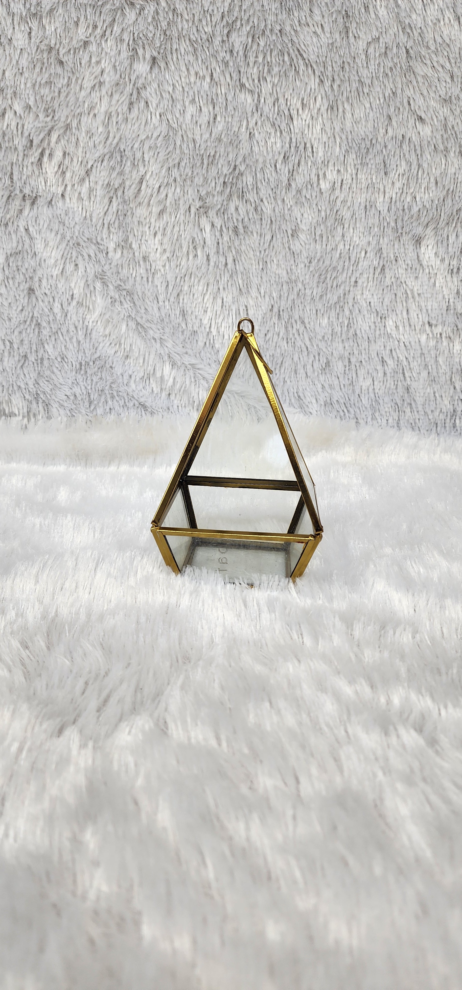 Desktop Terrarium and Air Plant Display glaas metal