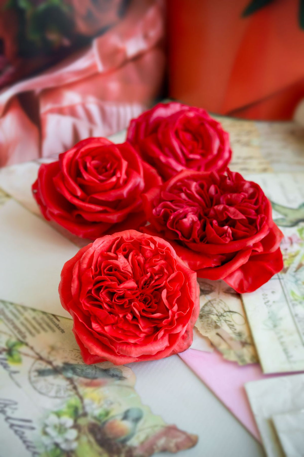 Pearly rose flower