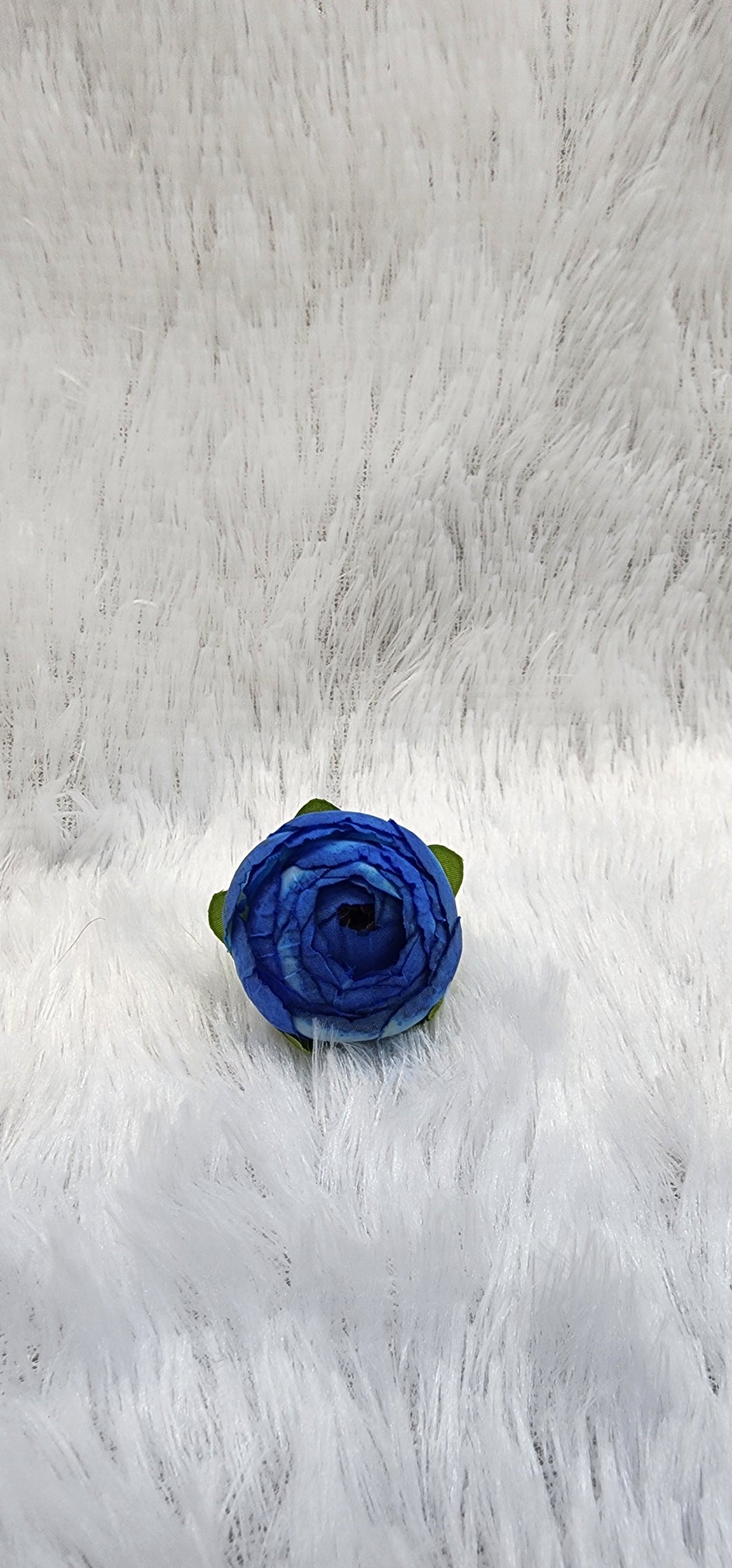 Loose pionies flowers