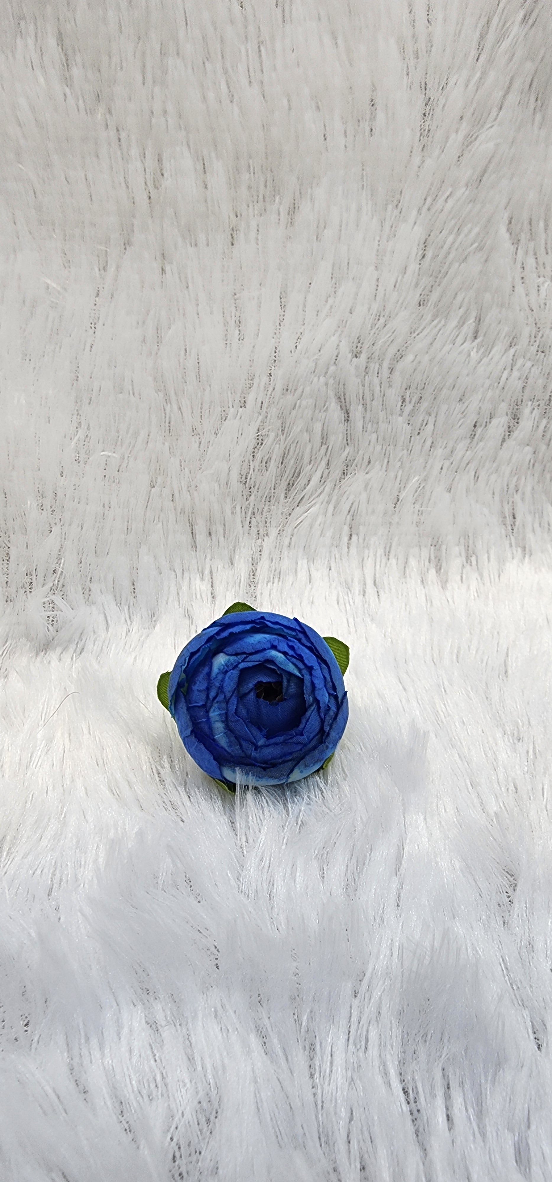 Loose pionies flowers