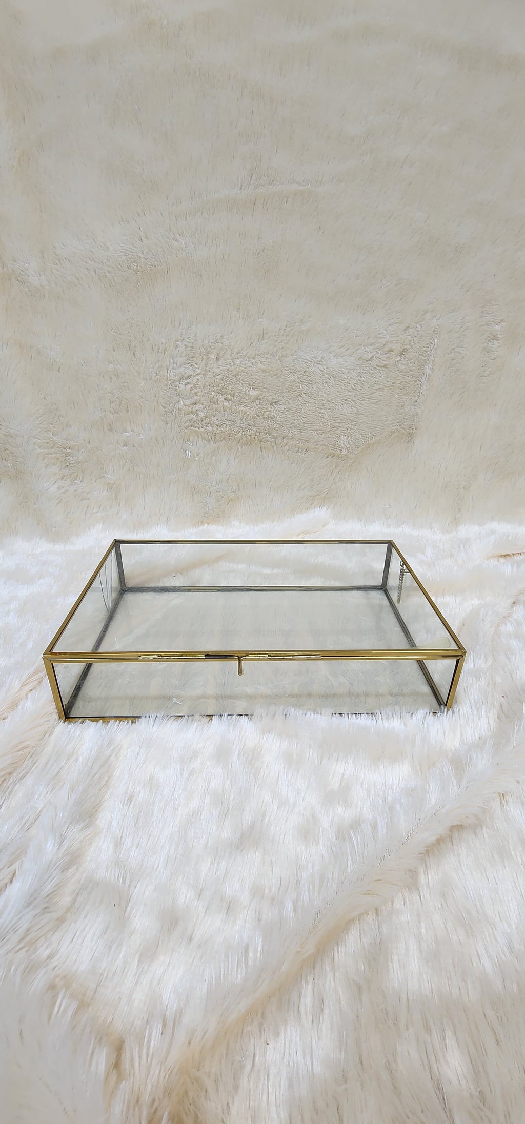 Metal Glass rectangle box