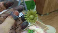 Sunflower Glitter Ball Sparkling Decorative Accent for Festive & Wedding Decor