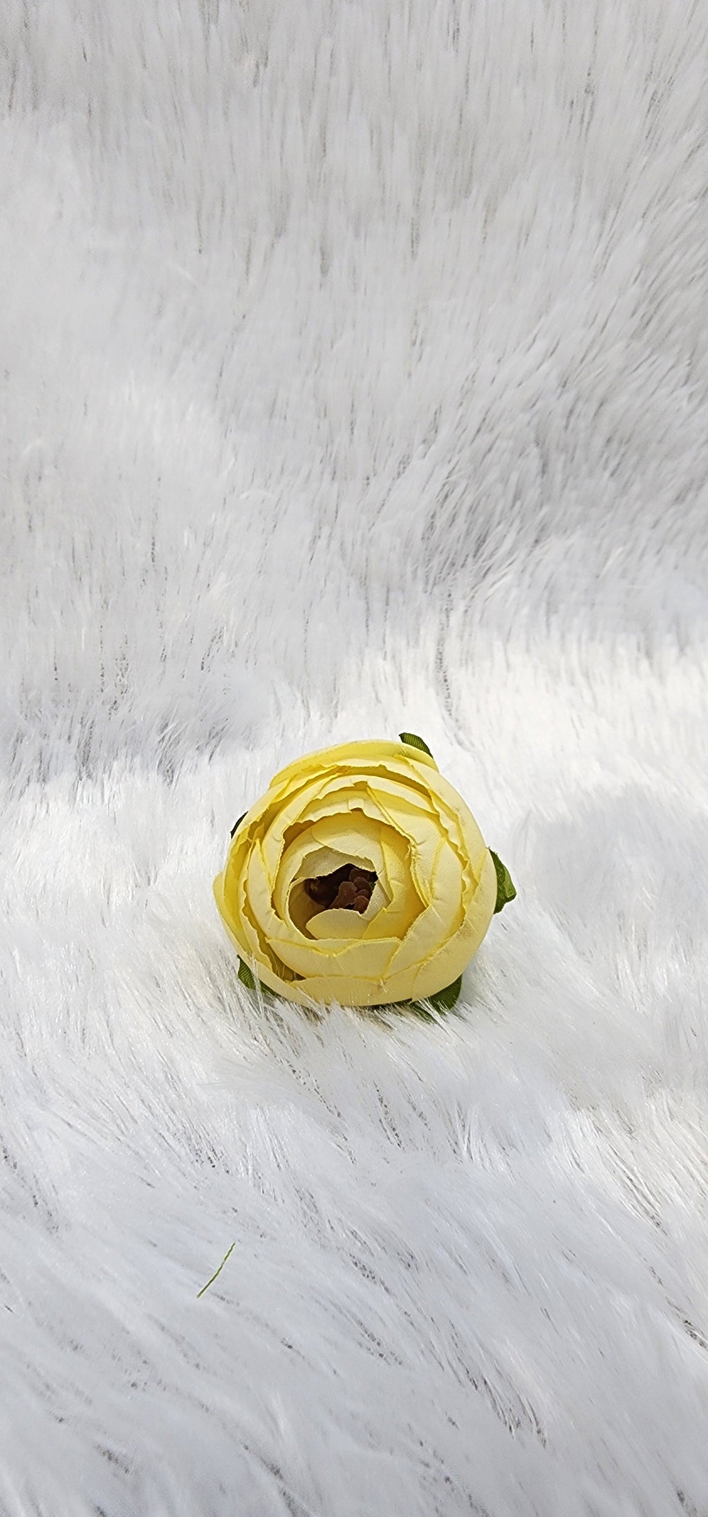 Loose pionies flowers