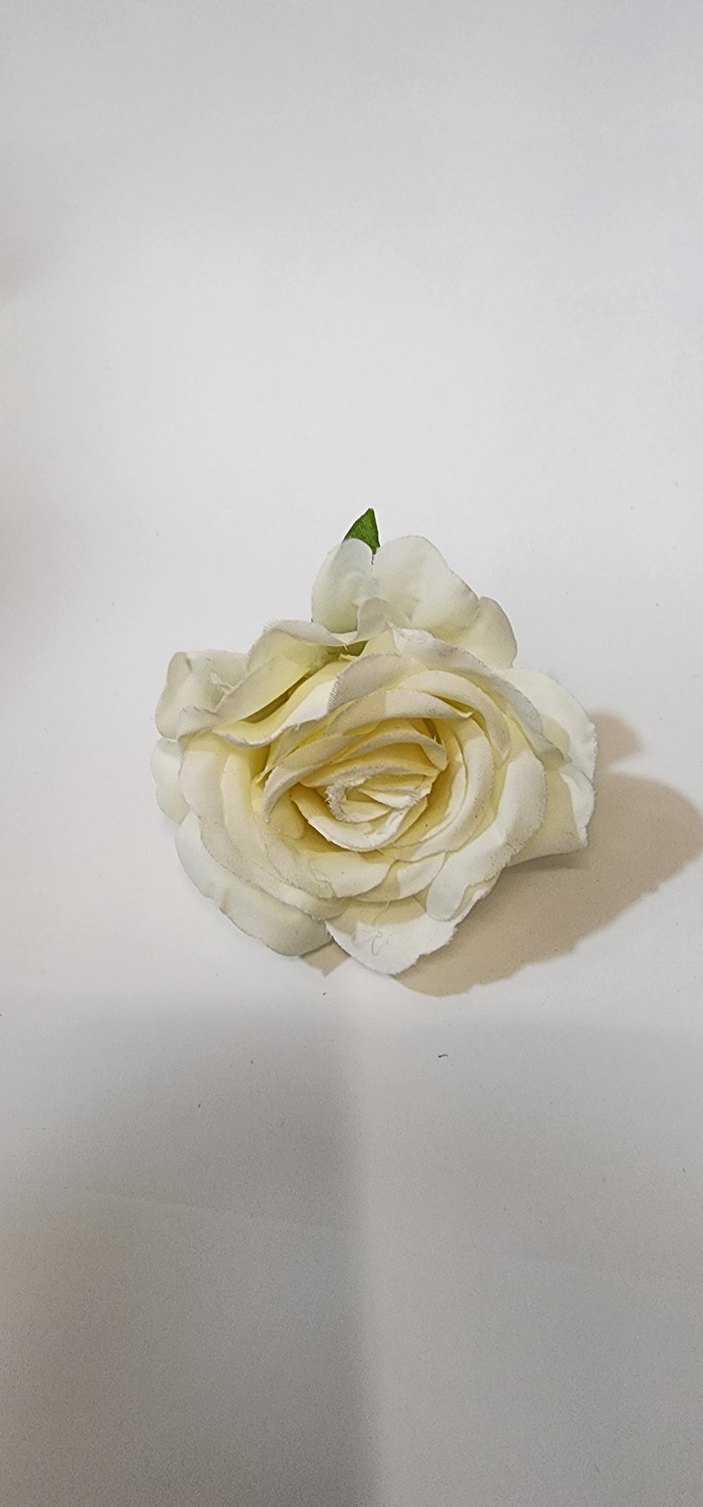 Korean flower
