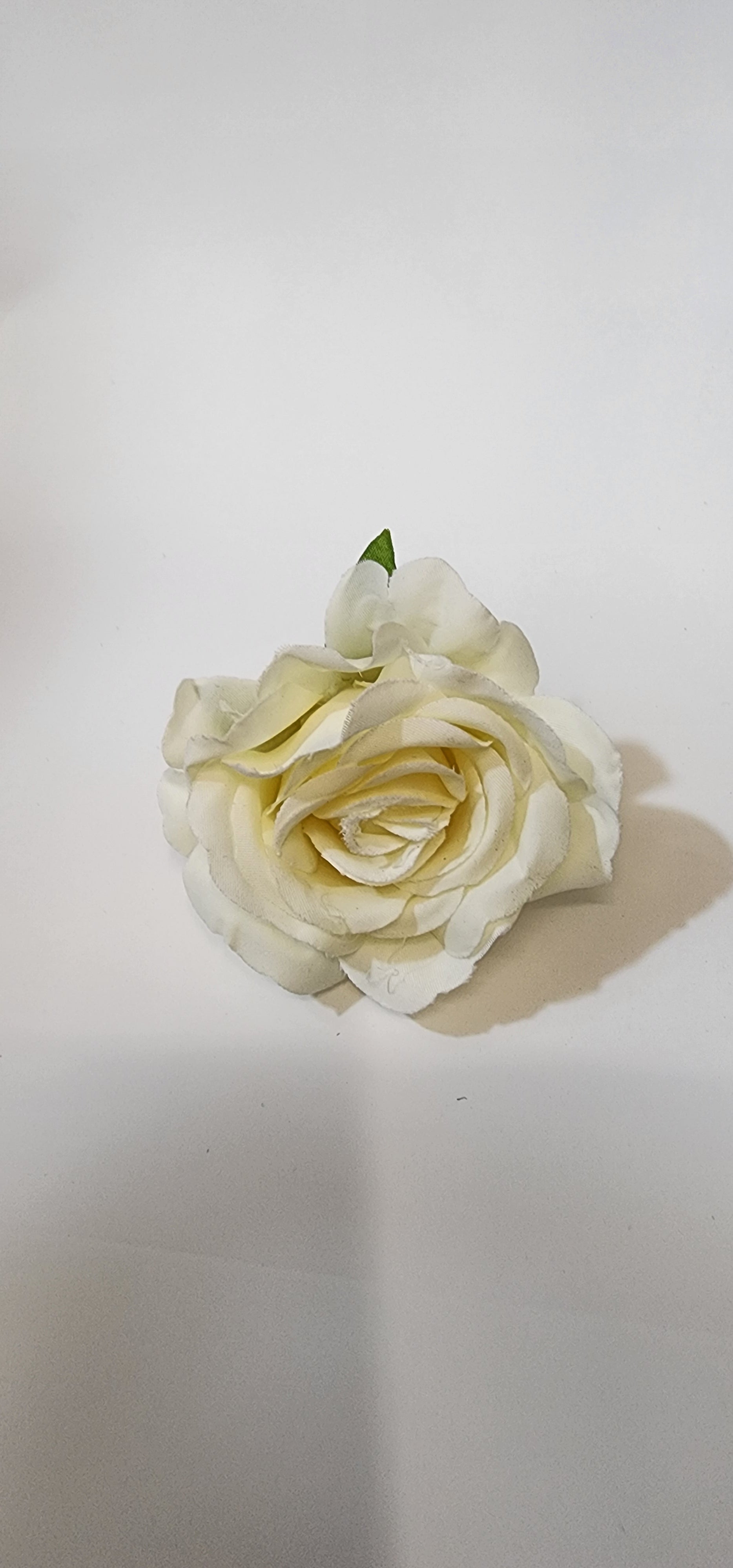 Korean flower