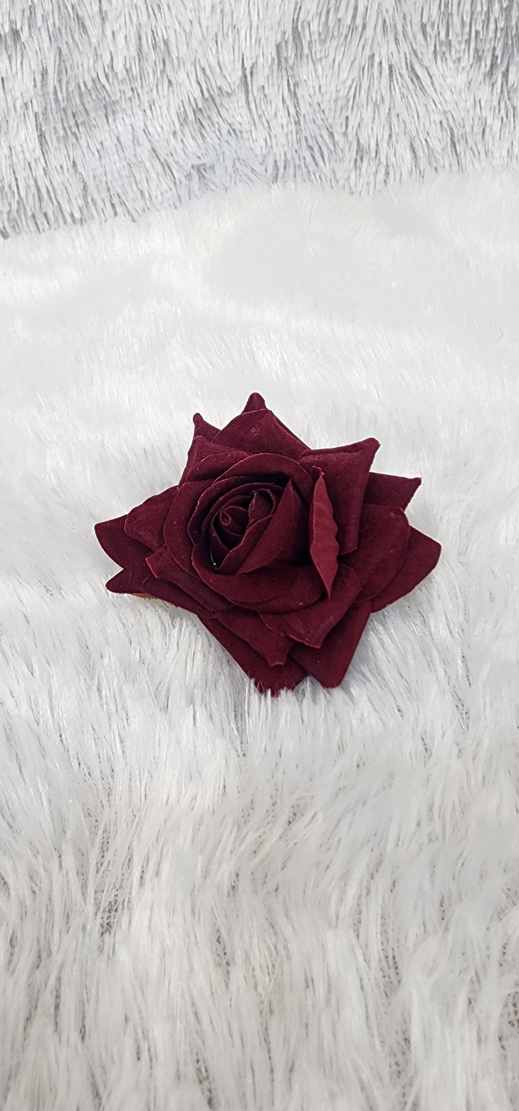 Loose Velvet rose