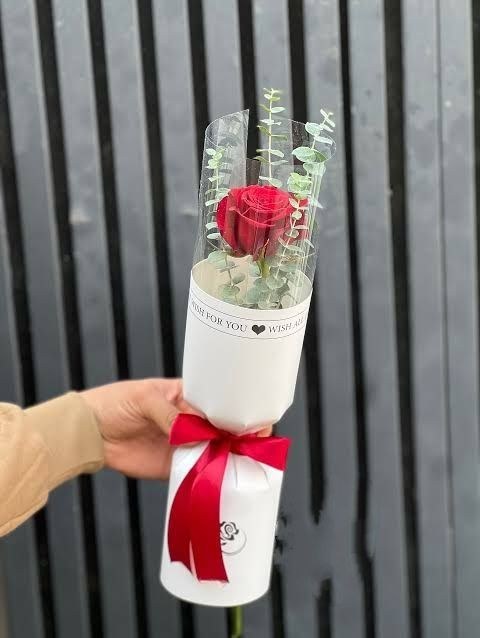 Premium Transparent Flower Tube Box (bouquet)