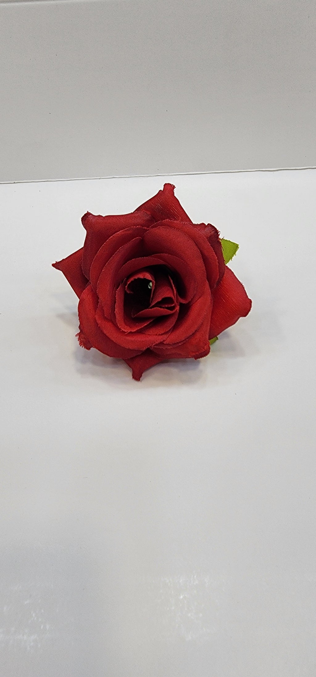 Rose Flower