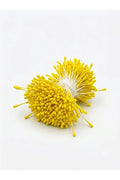 Mini pollen flower