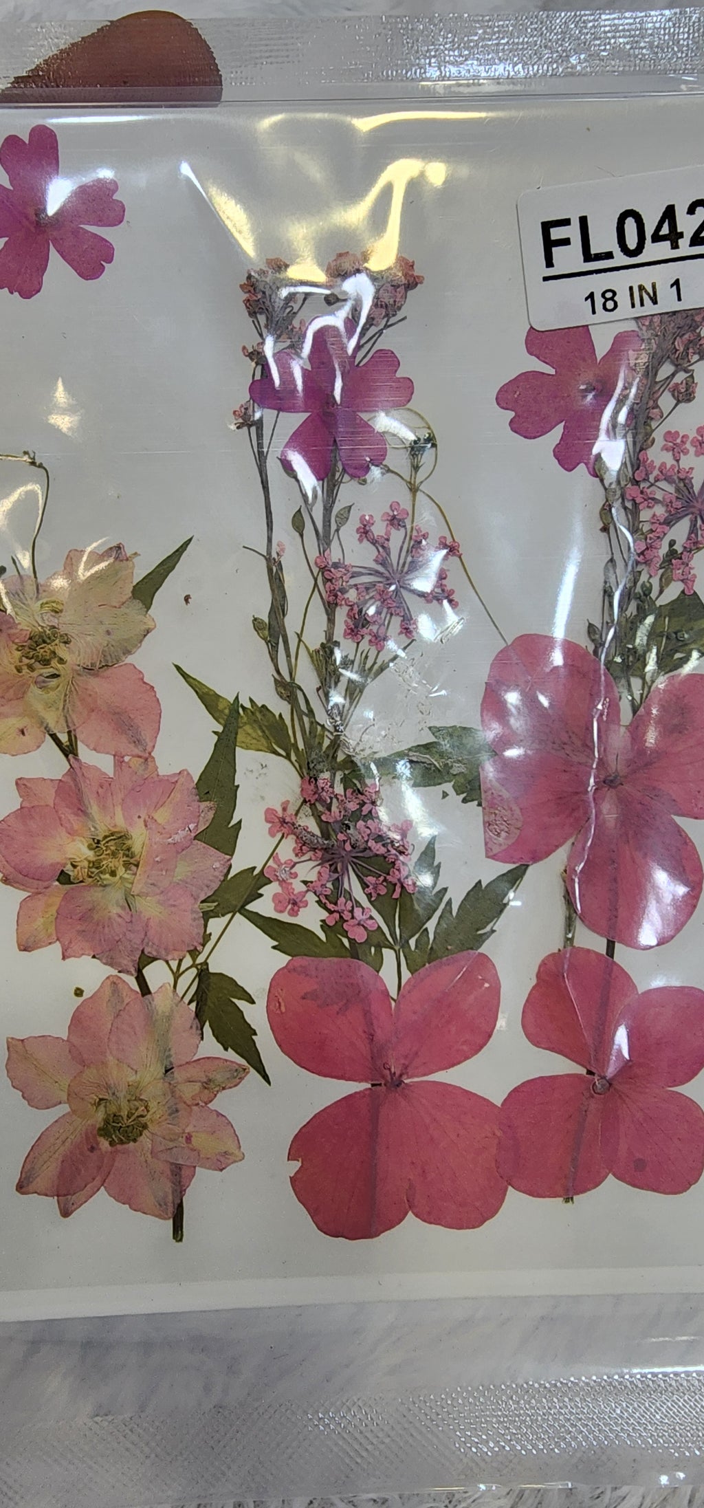 Pressed flowers