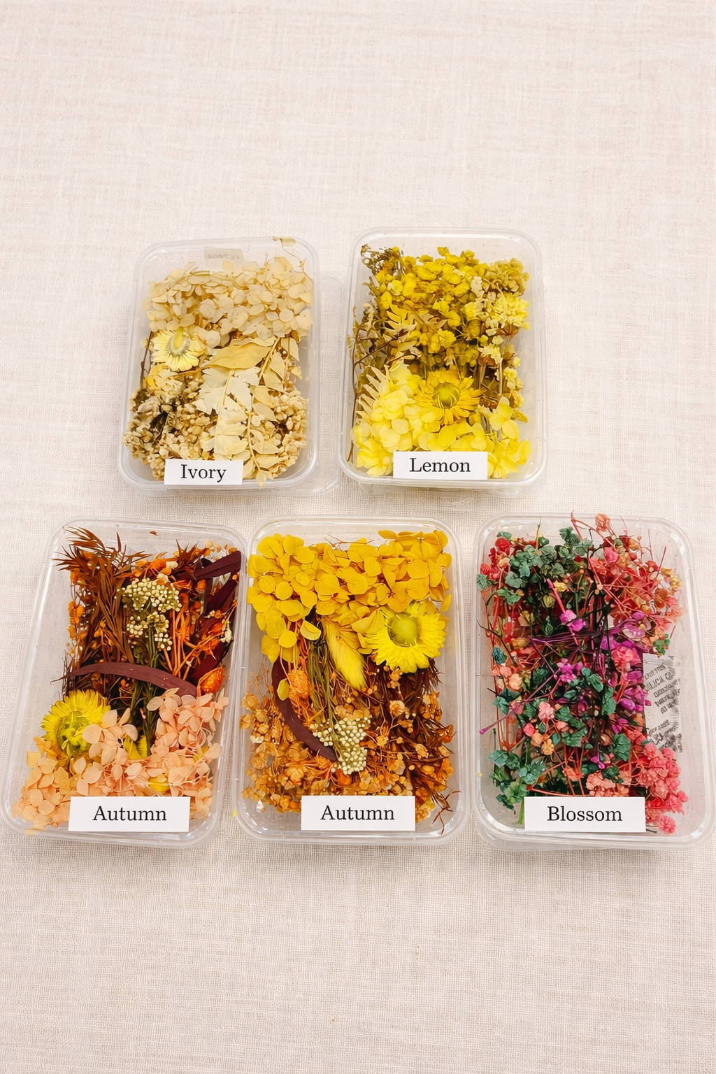 Premium Dried Flower Mix for Resin Art & Bouquet Decoration