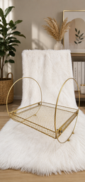 Oval Gold Mesh Display Tray