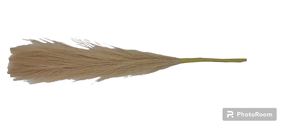 Artificial Straight Pompas Filler Sticks