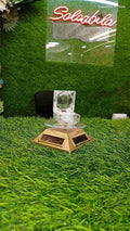 Rotating Display Stand with Glass Domeelry Platter