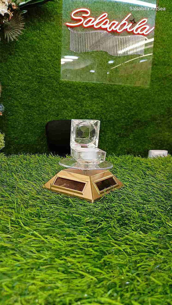 Rotating Display Stand with Glass Domeelry Platter