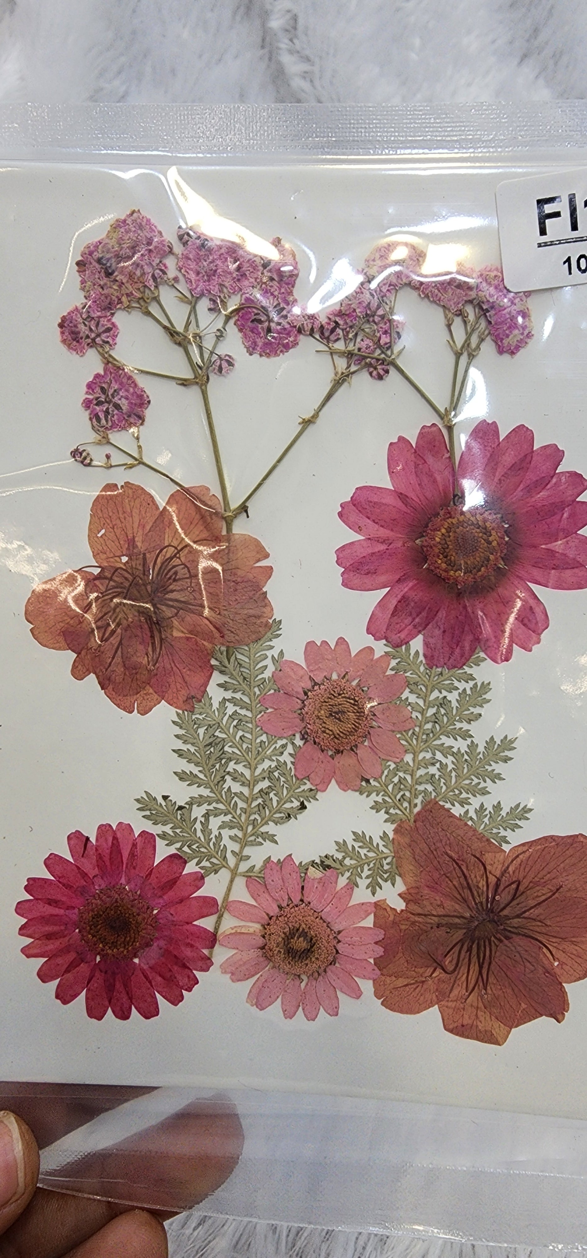 Pressed flowers