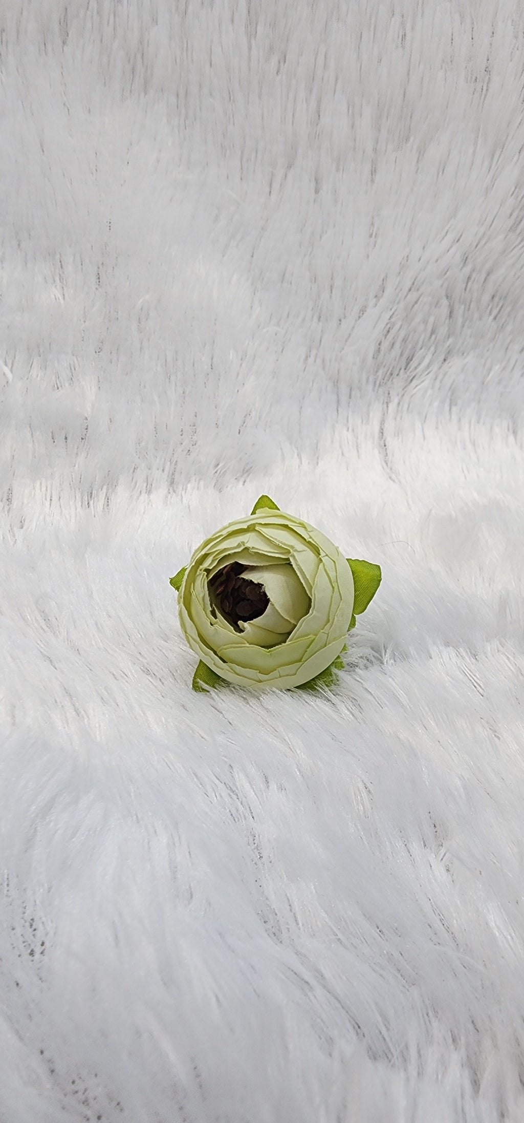 Loose pionies flowers