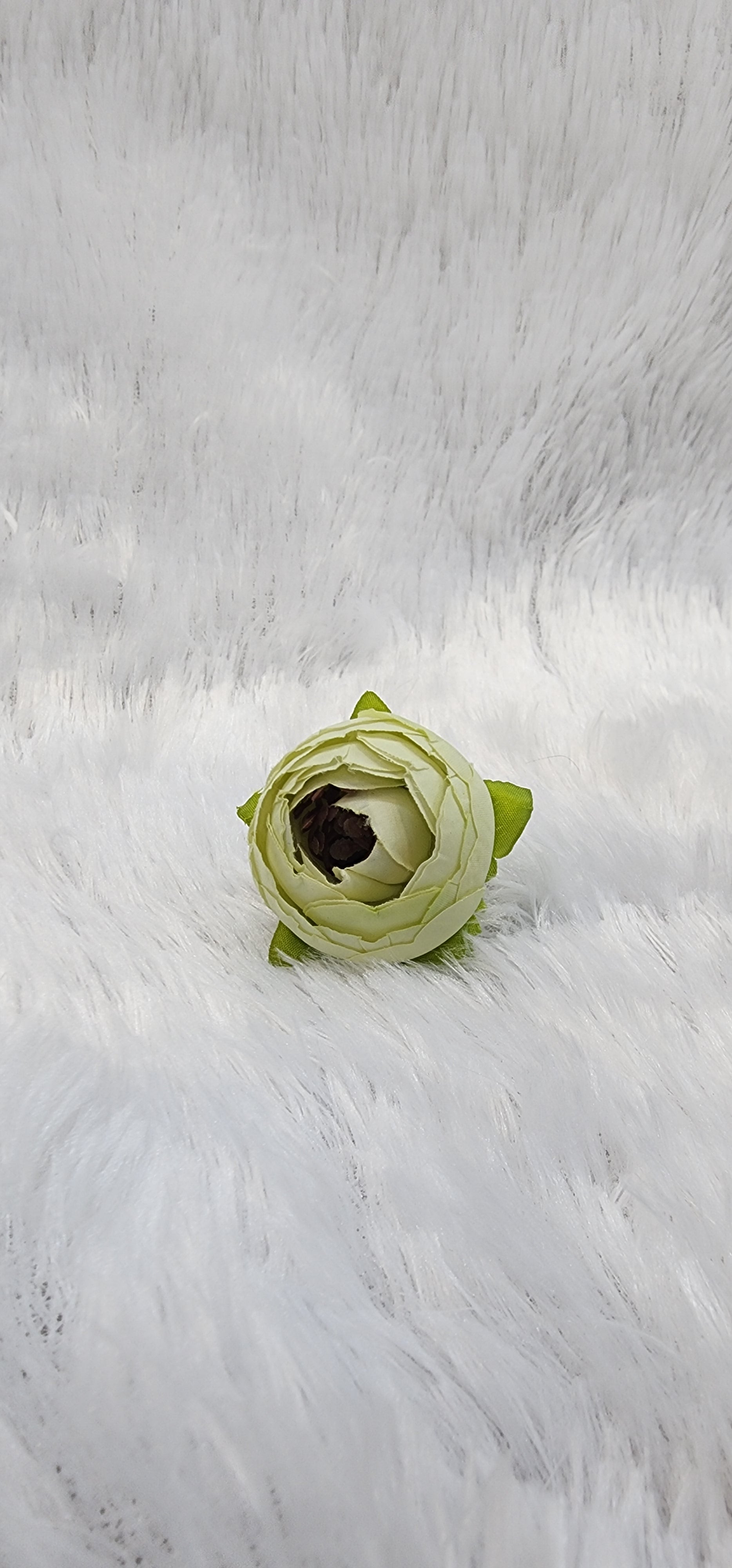 Loose pionies flowers