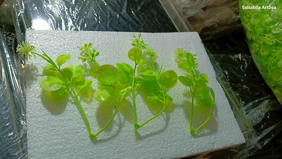 Green Fillers