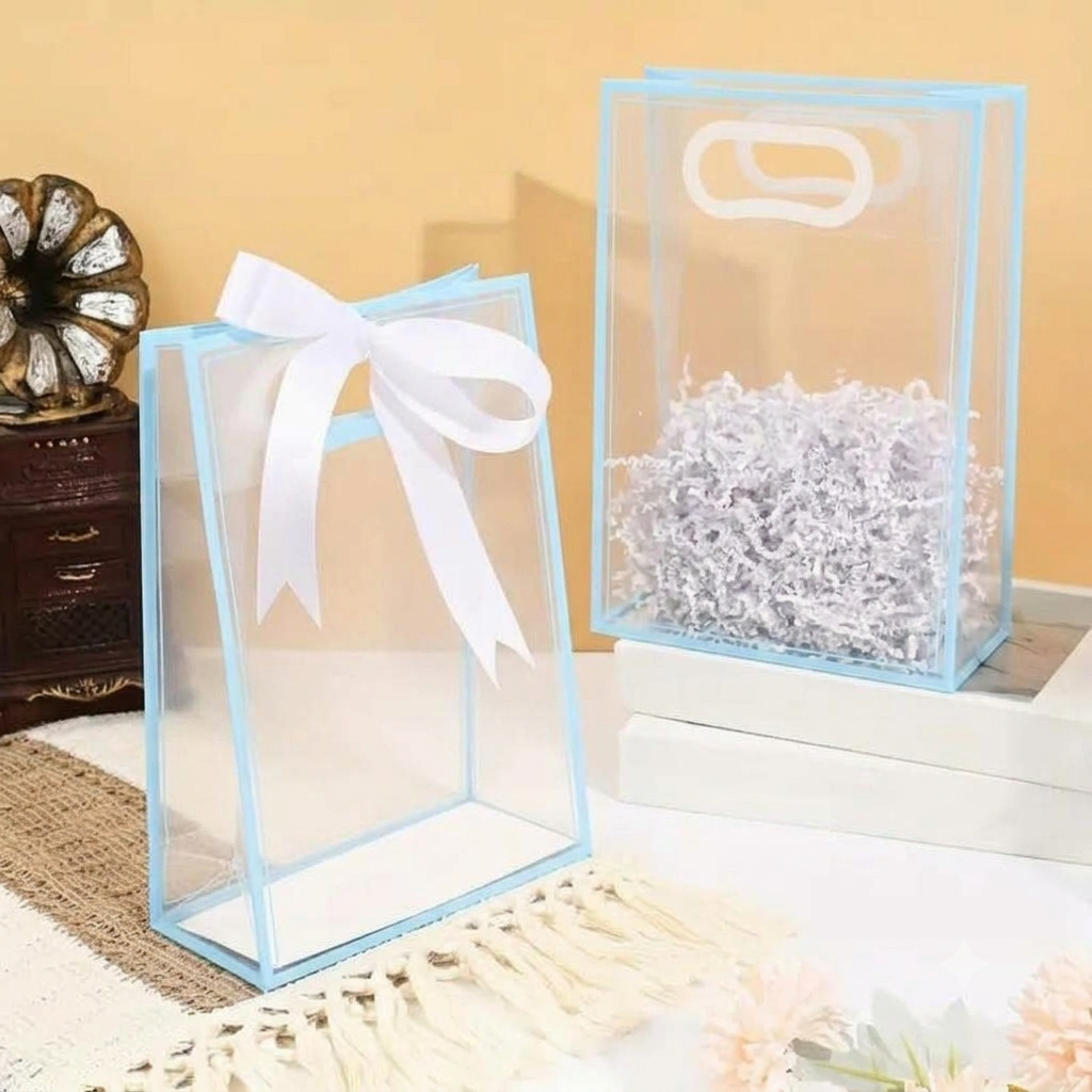 Frosted PVC Gift Bag ✅