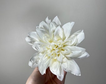 Dahlia flowers
