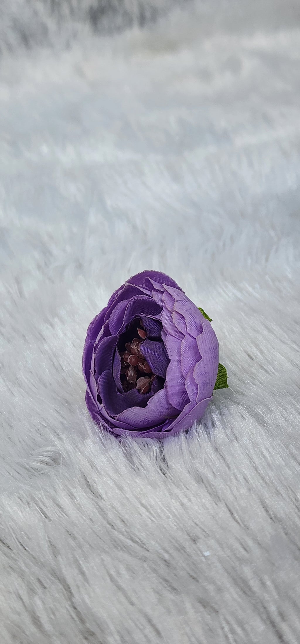 Loose pionies flowers