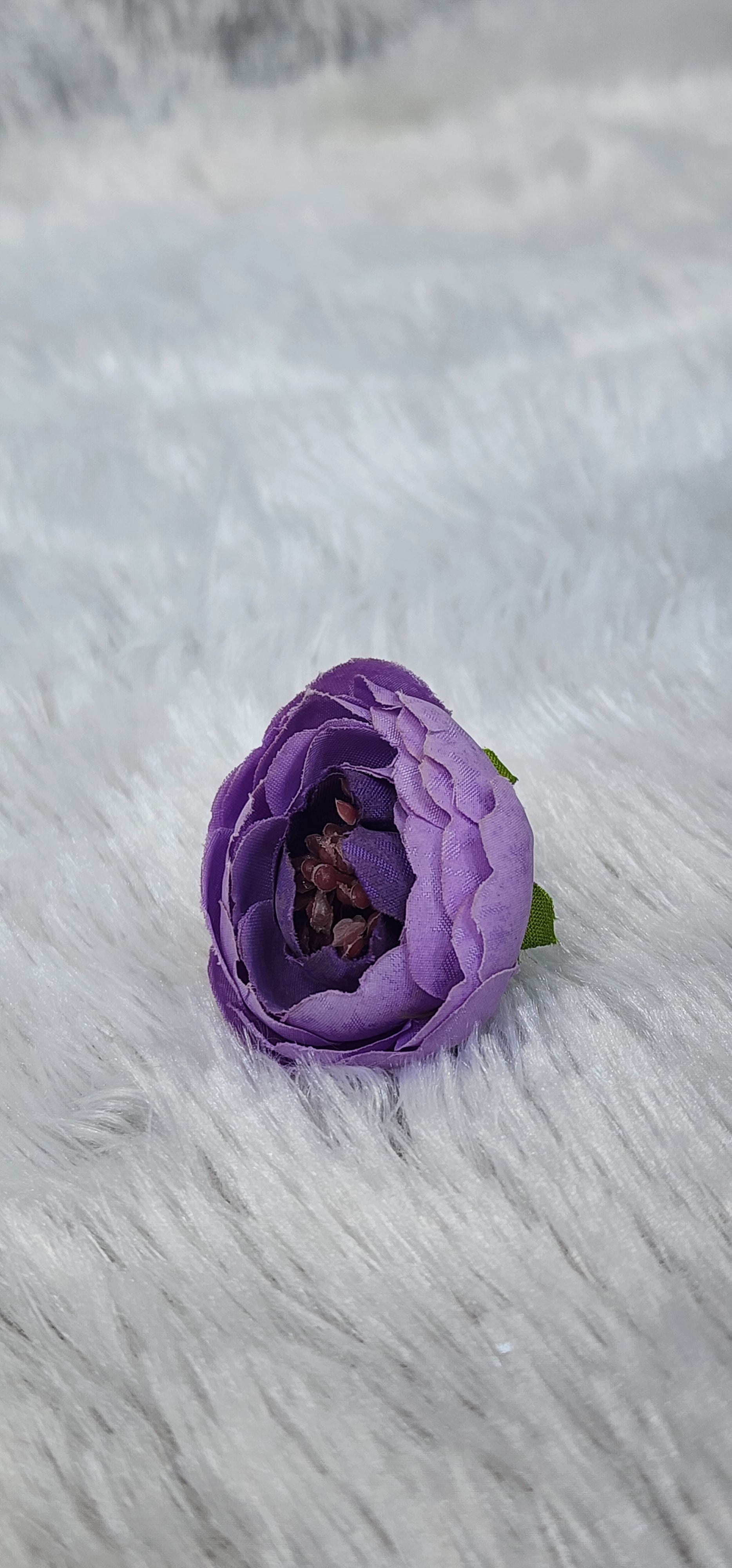 Loose pionies flowers