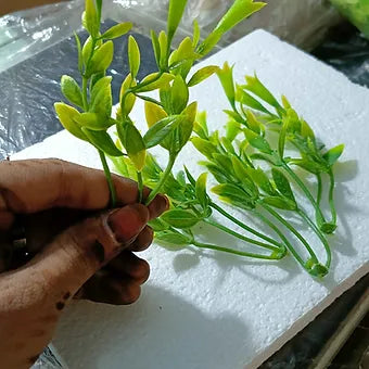 Coloured Fillers