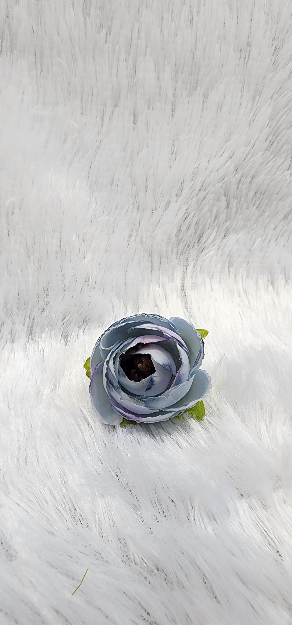 Loose pionies flowers