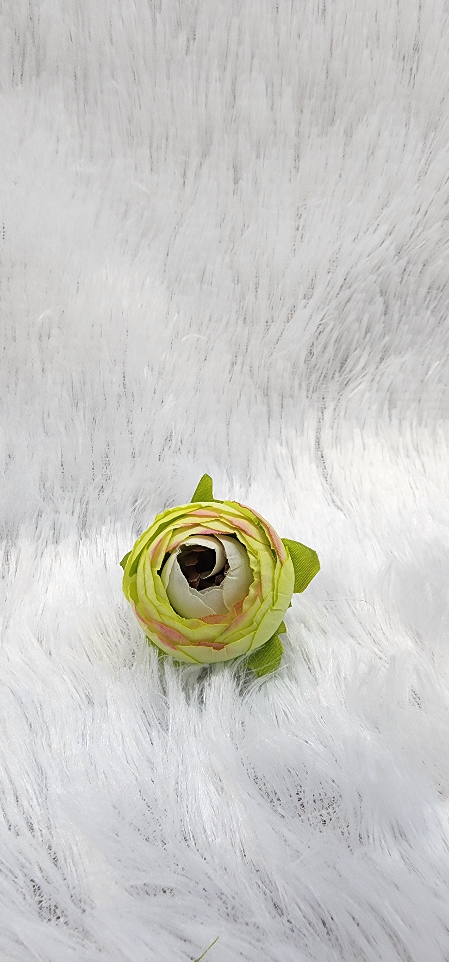 Loose pionies flowers