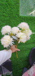 chrysanthemums Flower Bunch