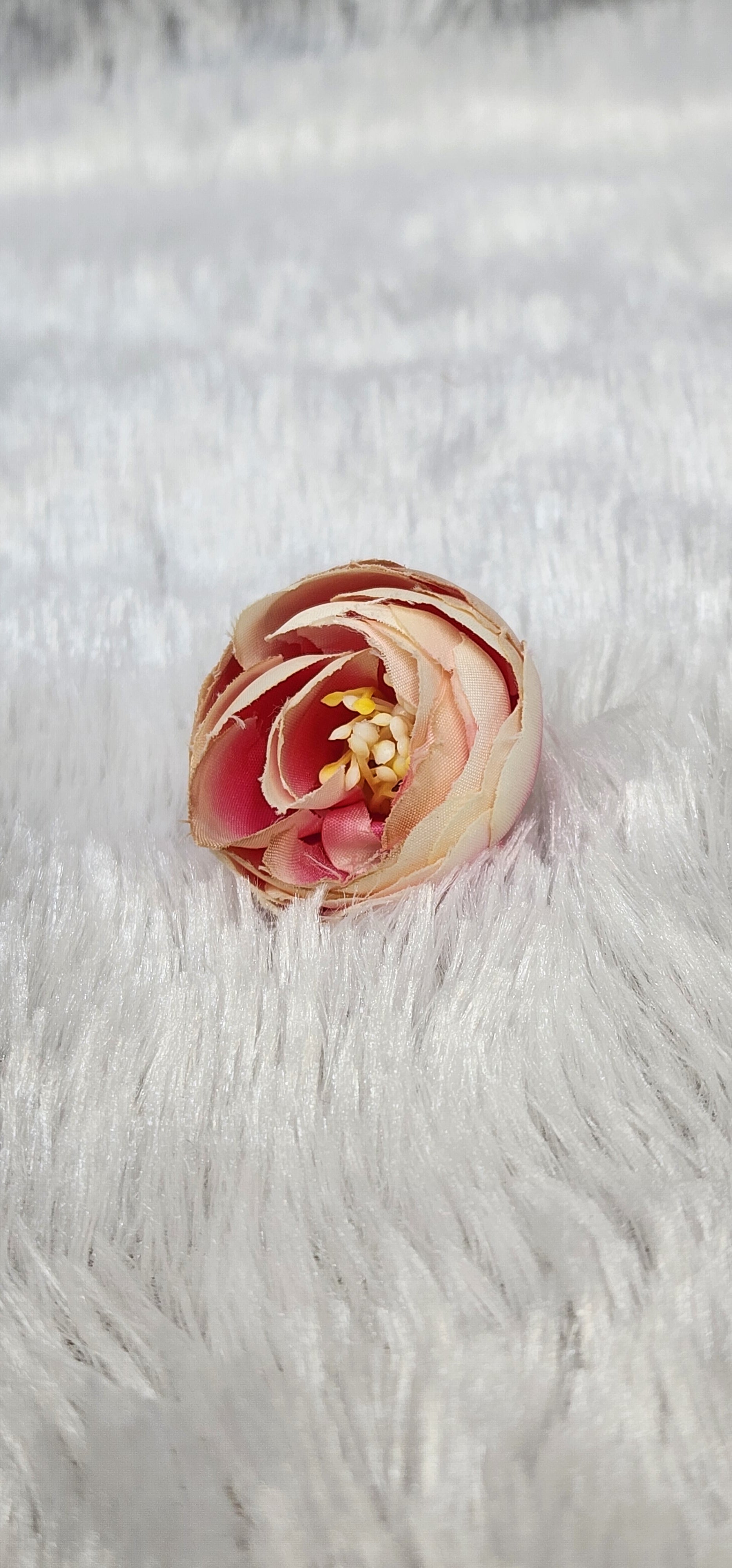 Loose pionies flowers