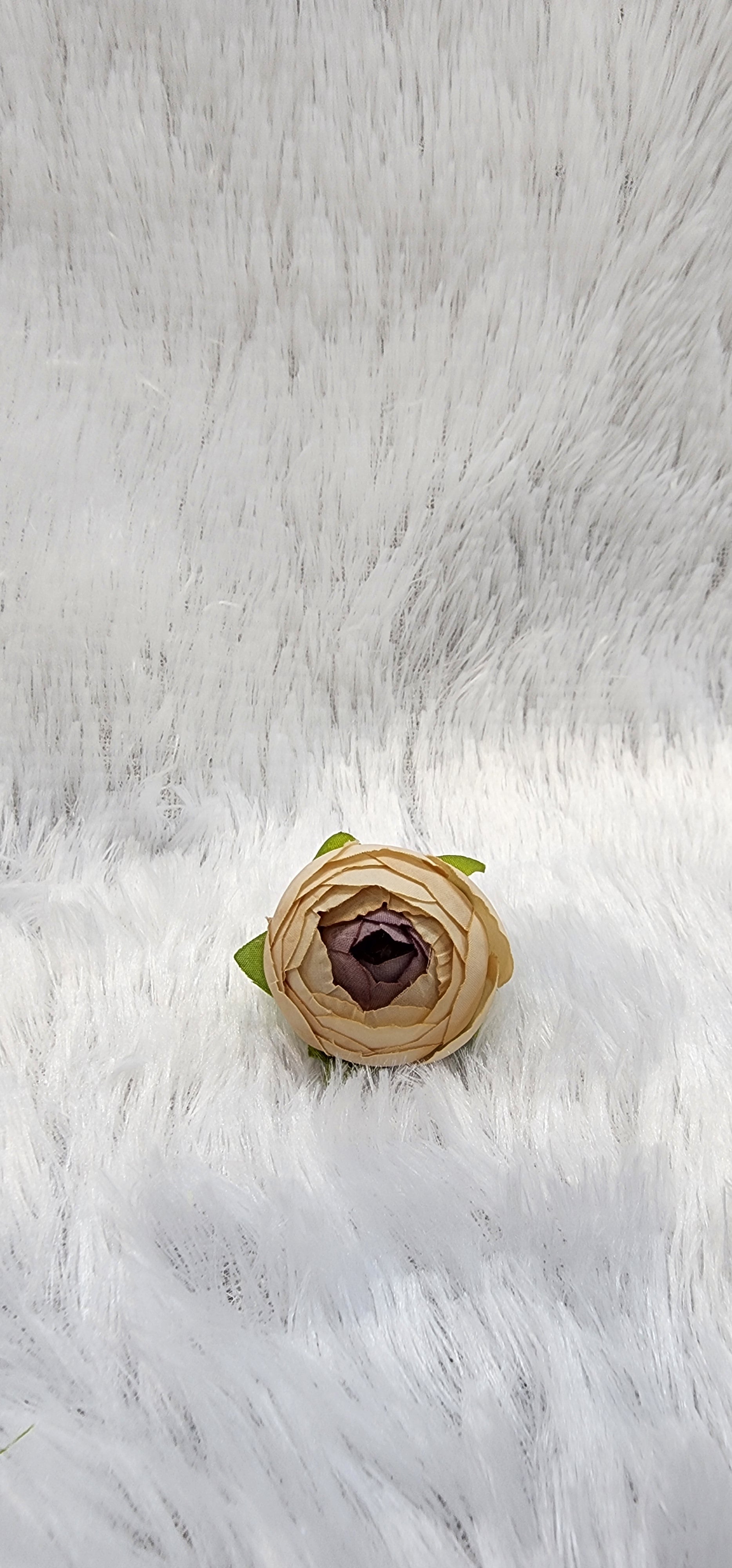 Loose pionies flowers