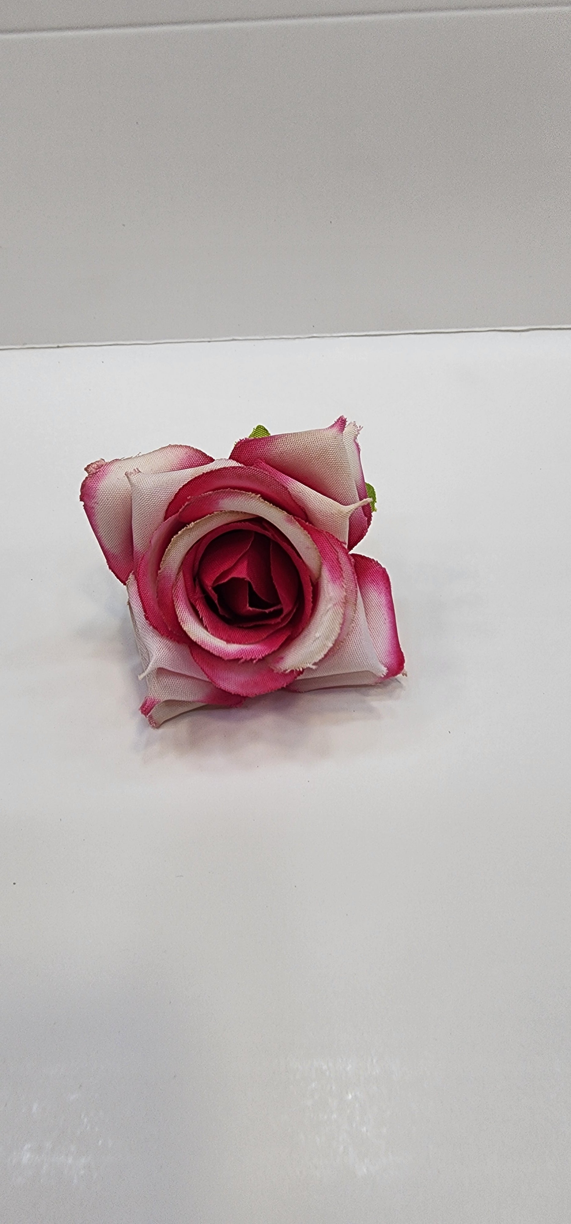 Rose Flower