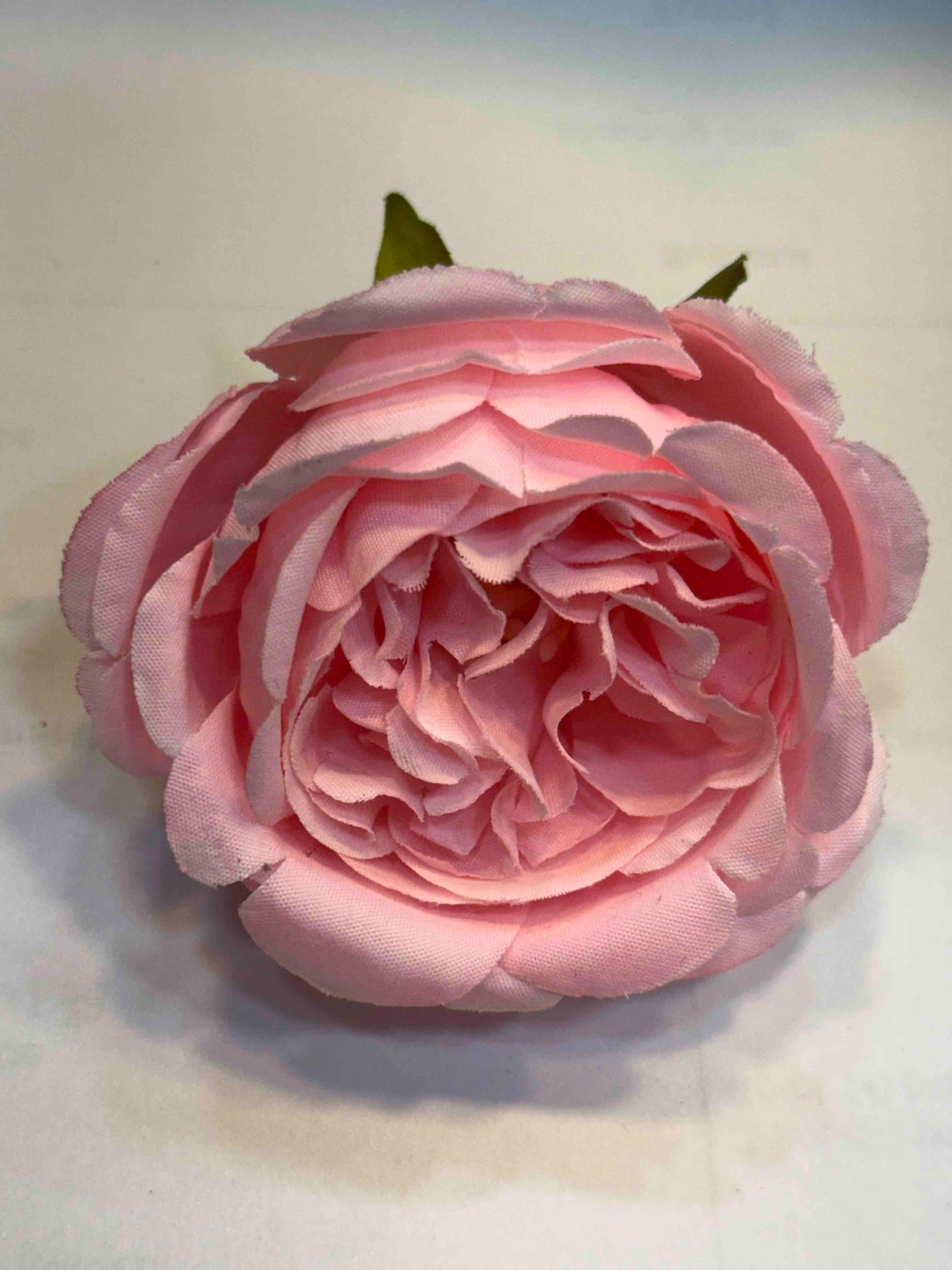 Pearly rose flower