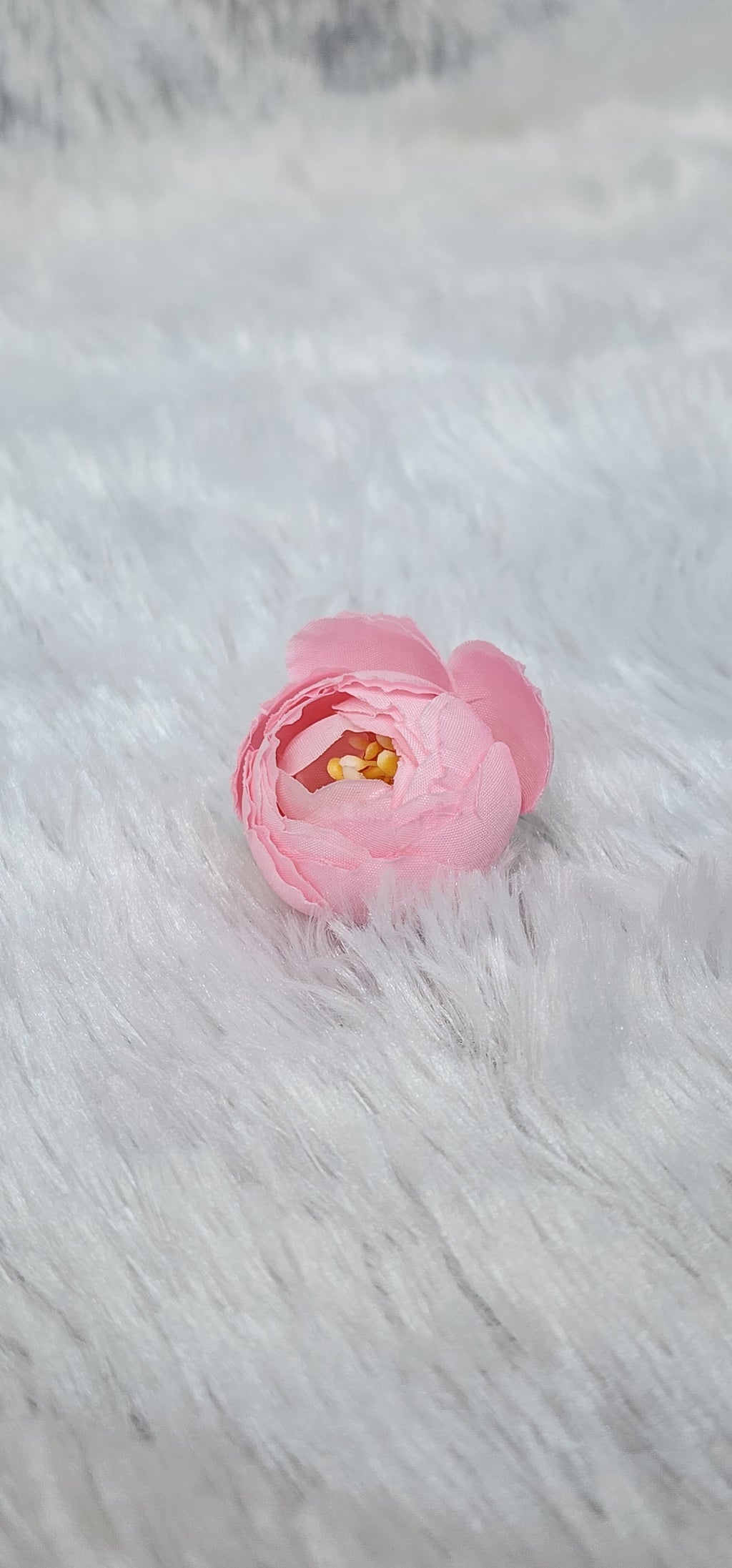 Loose pionies flowers