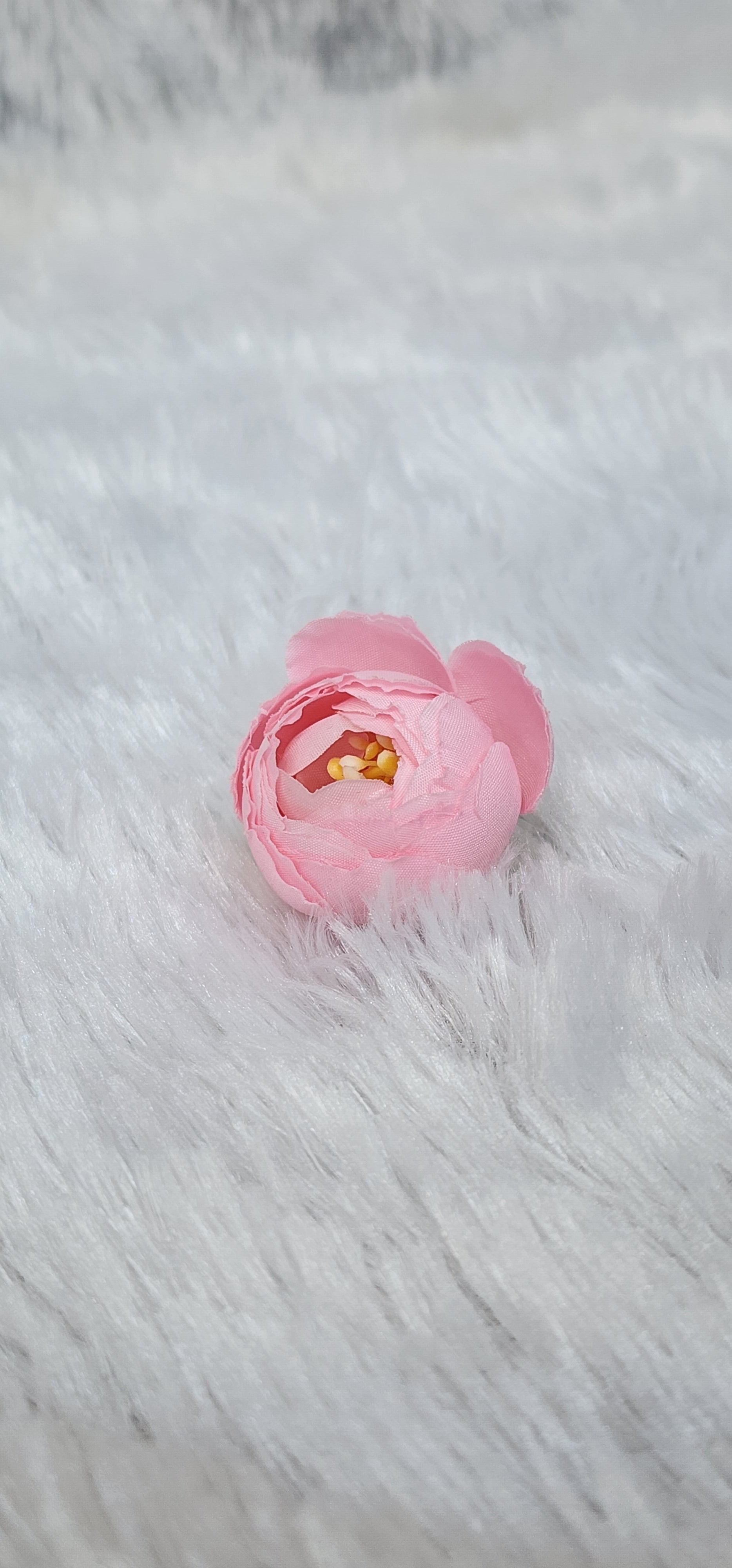 Loose pionies flowers