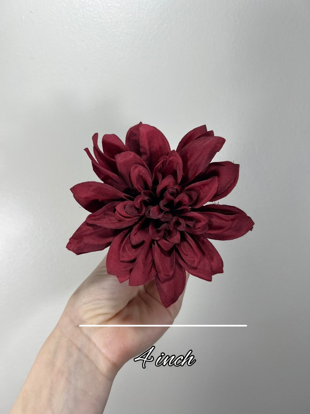 Dahlia flowers