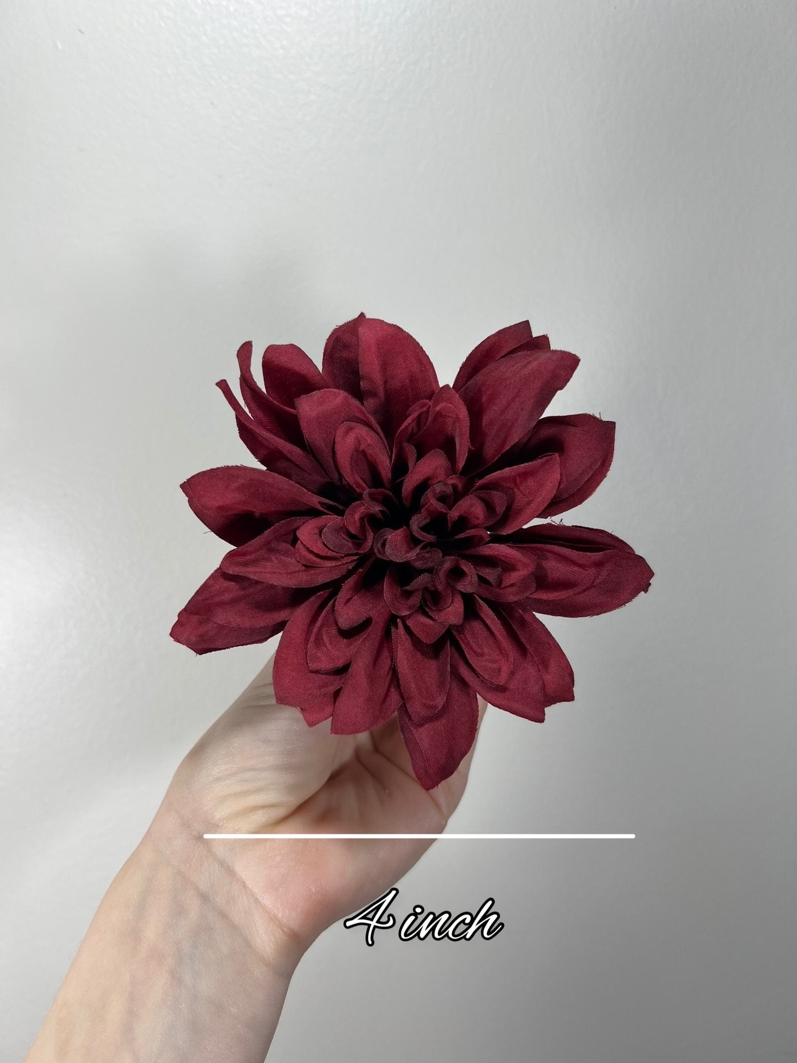 Dahlia flowers