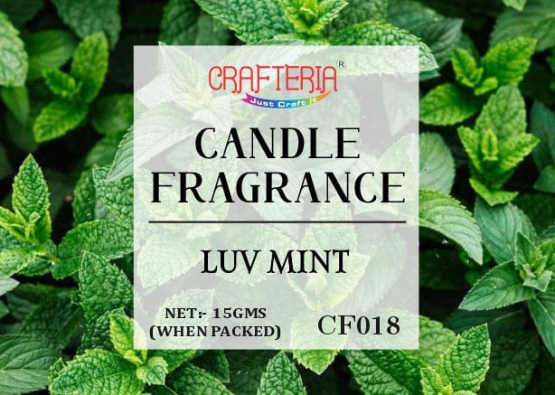 Luv Mint Candle Fragrance