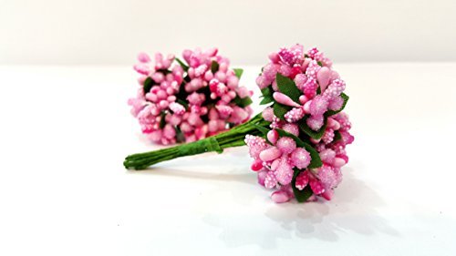 Pollen Fillers